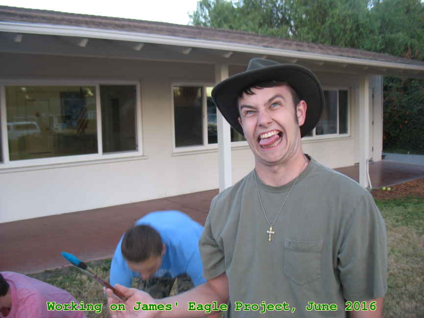 Picture 0009