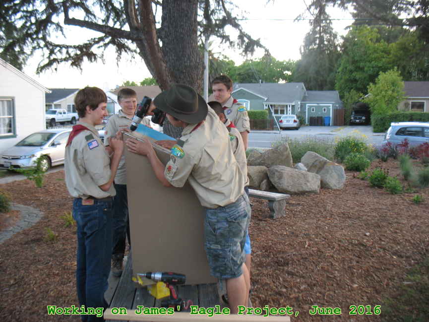 Picture 0015