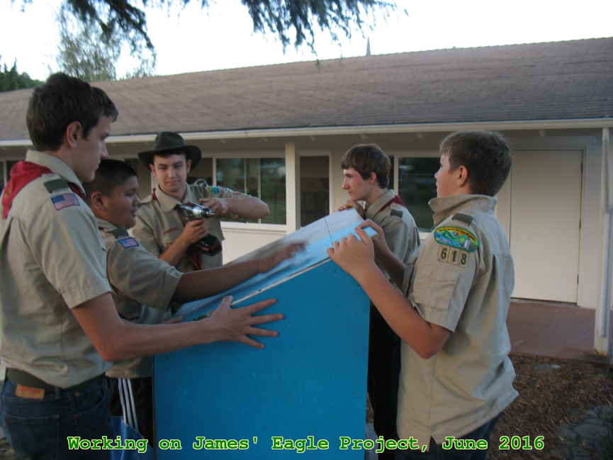 Picture 0016