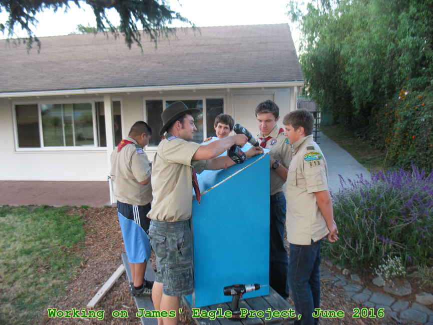 Picture 0017