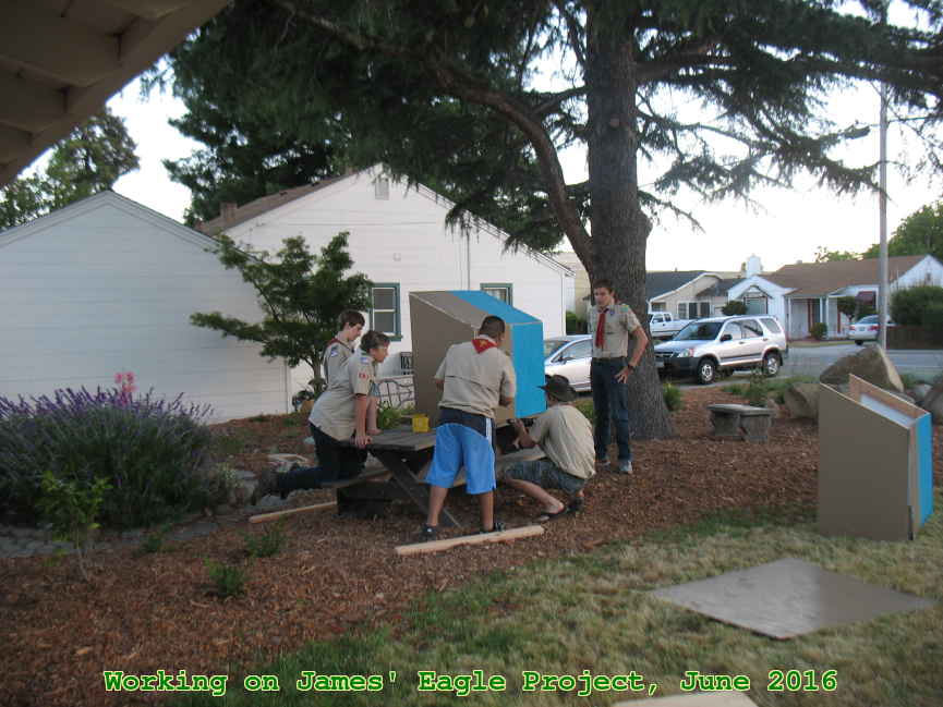 Picture 0019