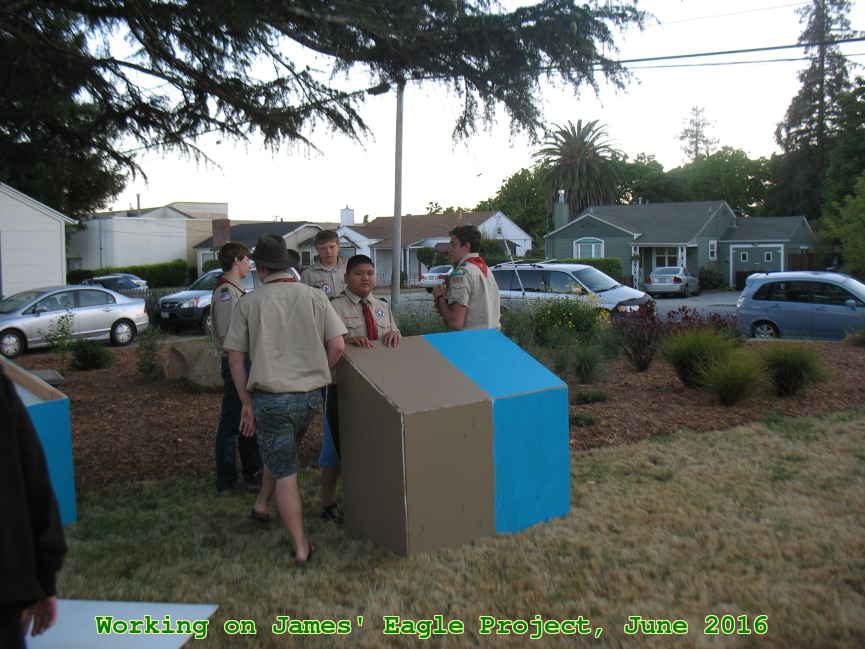 Picture 0020