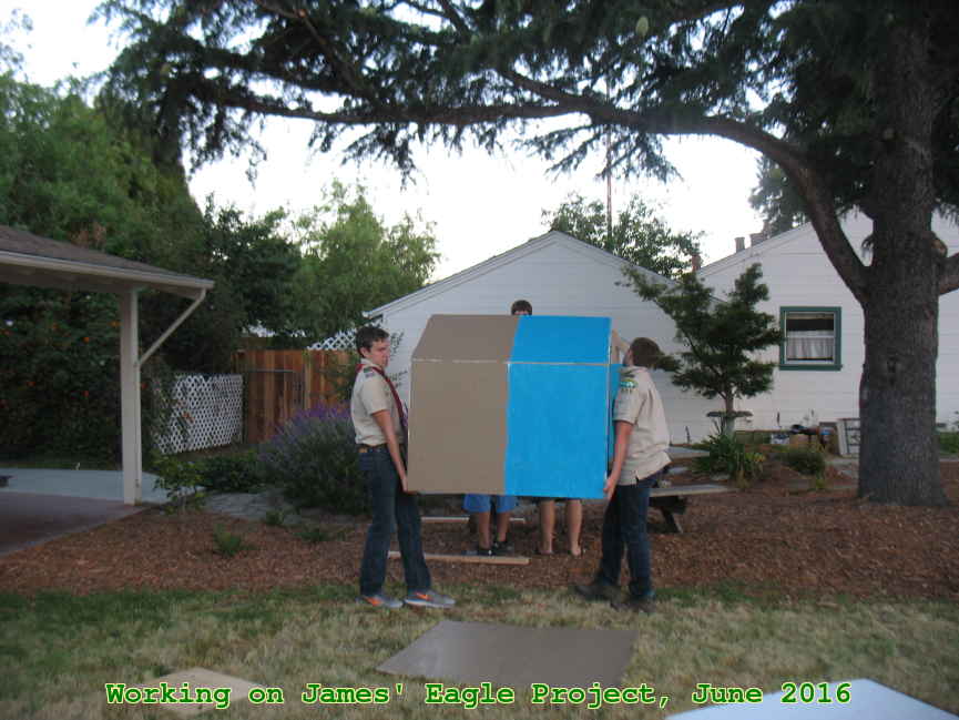 Picture 0021