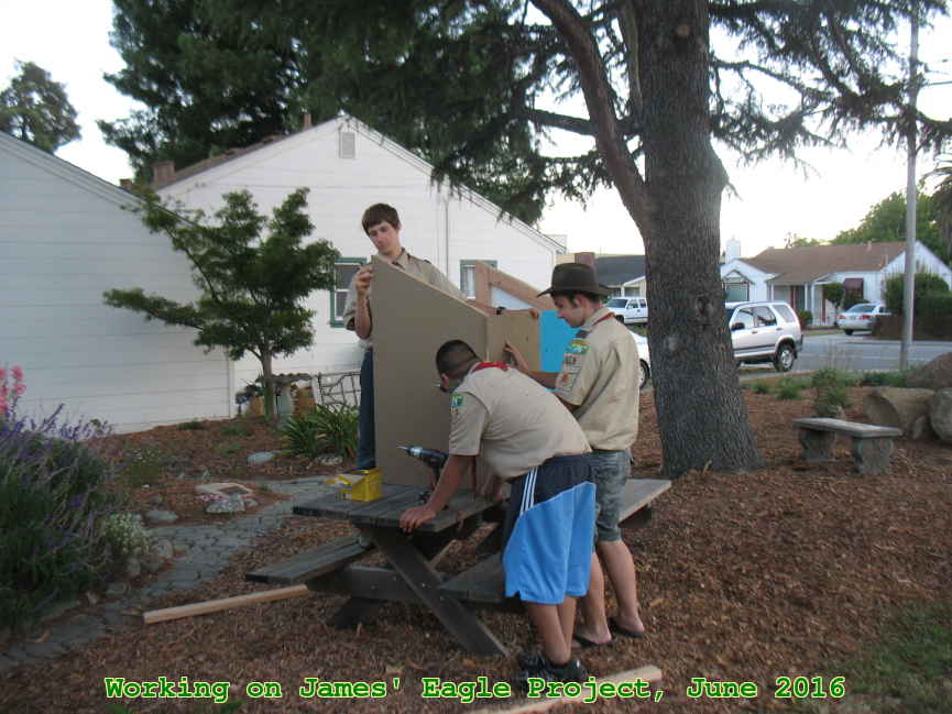 Picture 0023