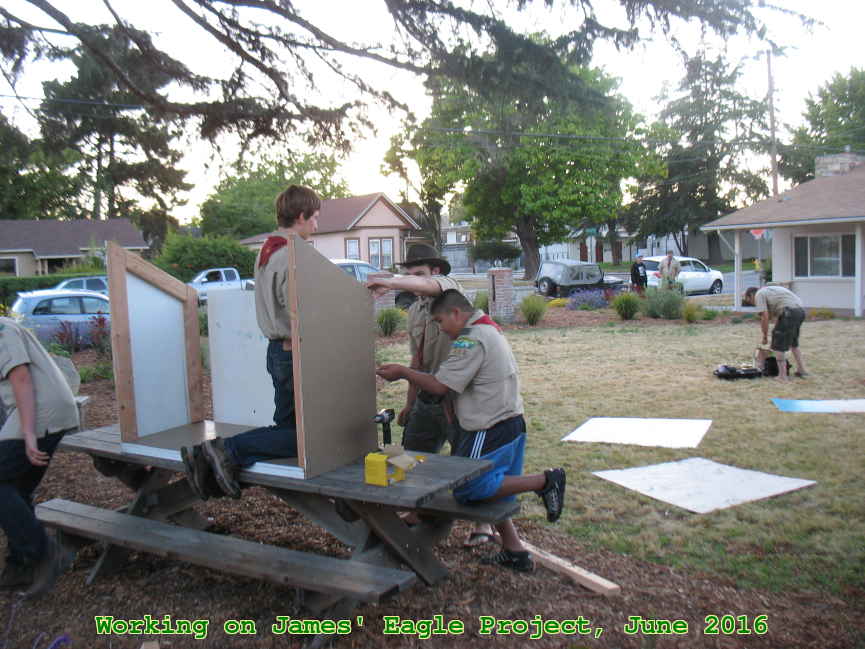 Picture 0024