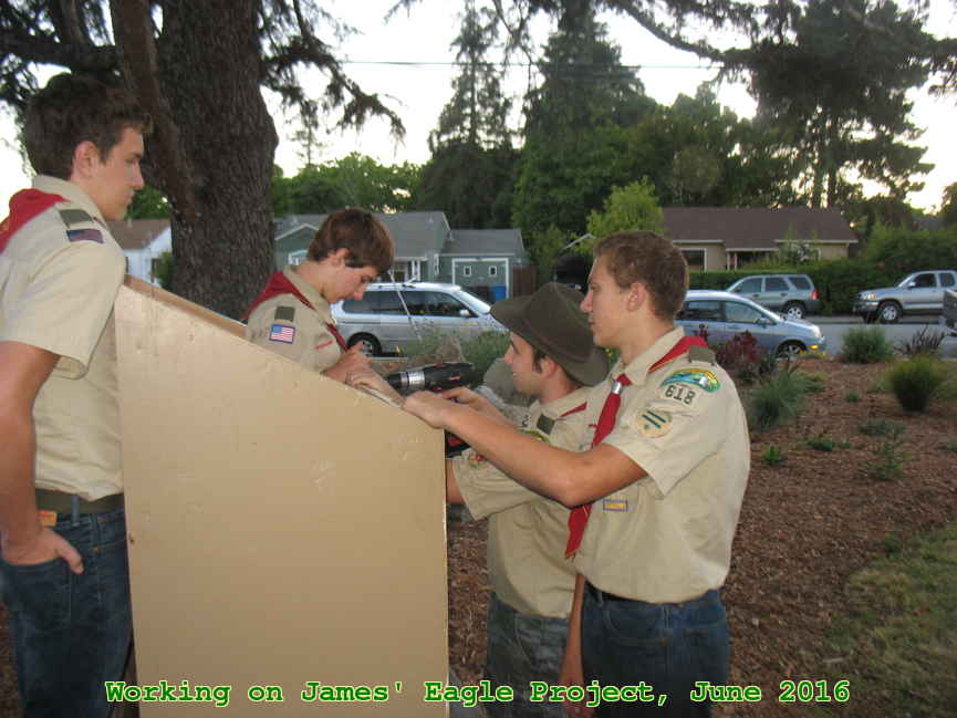 Picture 0025