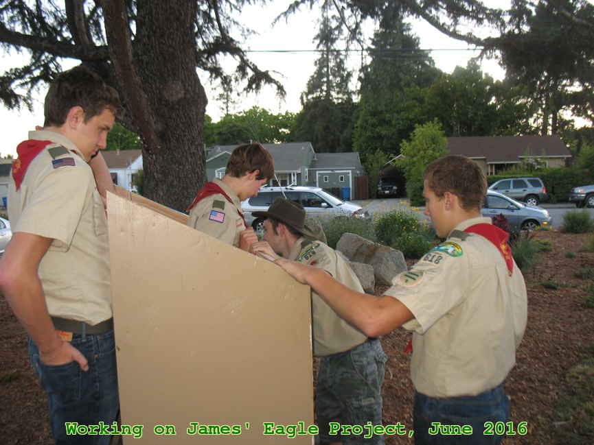 Picture 0026