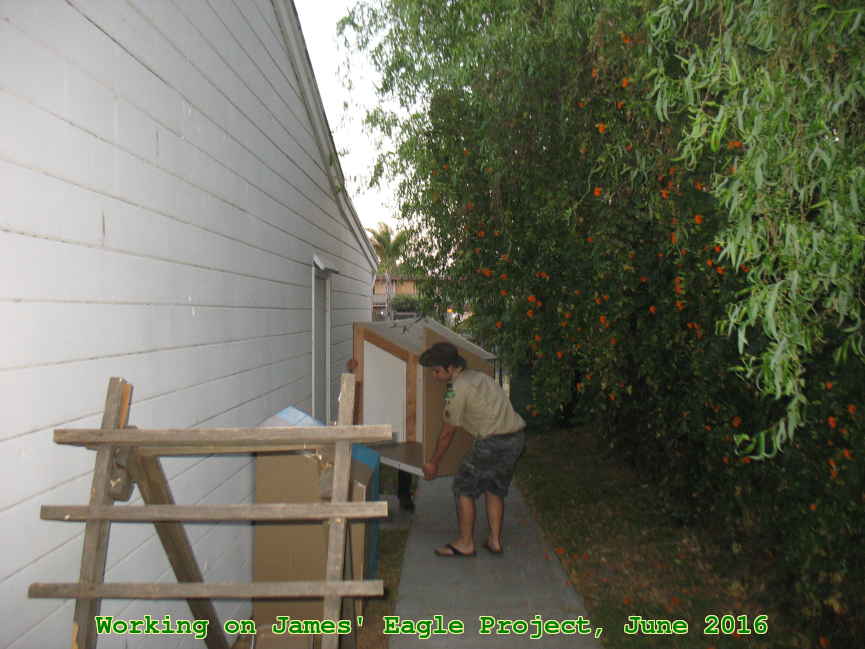 Picture 0027