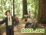 Picture 0003
