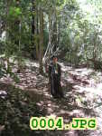 Picture 0004