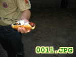 Picture 0011