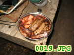 Picture 0019