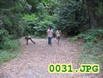Picture 0031