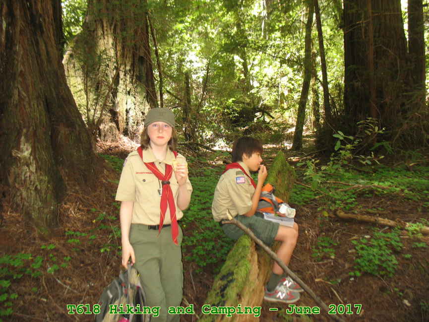 Picture 0002