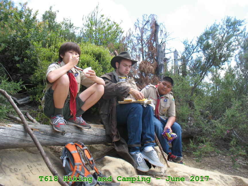 Picture 0006