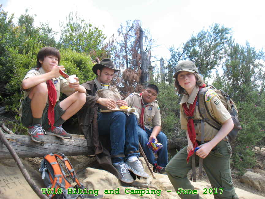 Picture 0007
