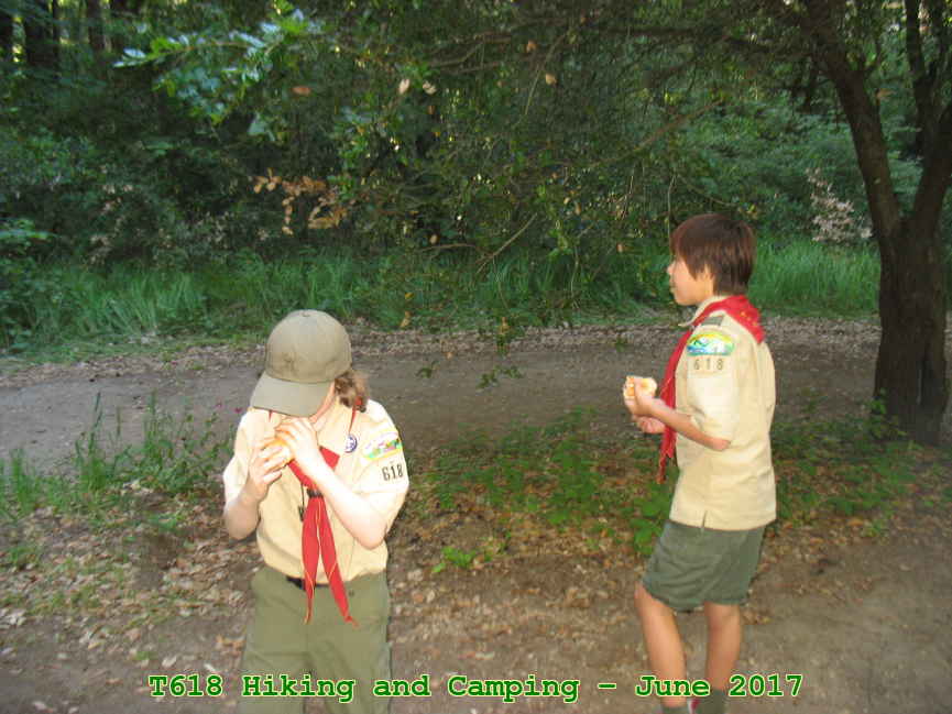 Picture 0009