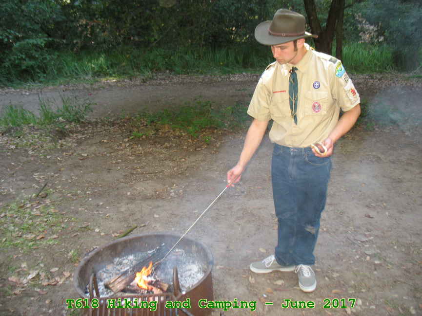 Picture 0010