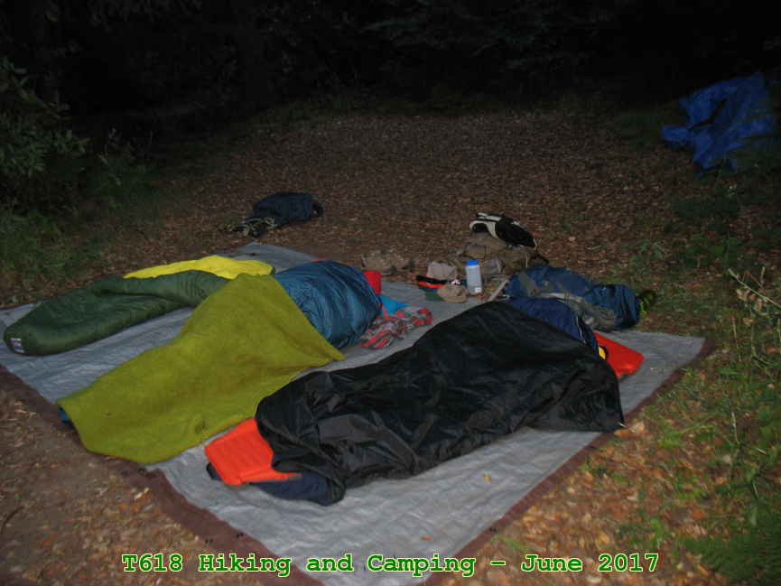 Picture 0016
