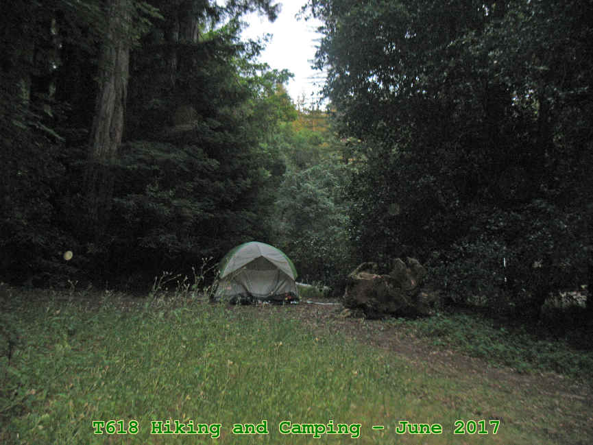 Picture 0017