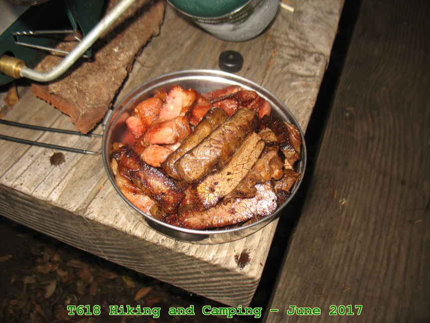 Picture 0019