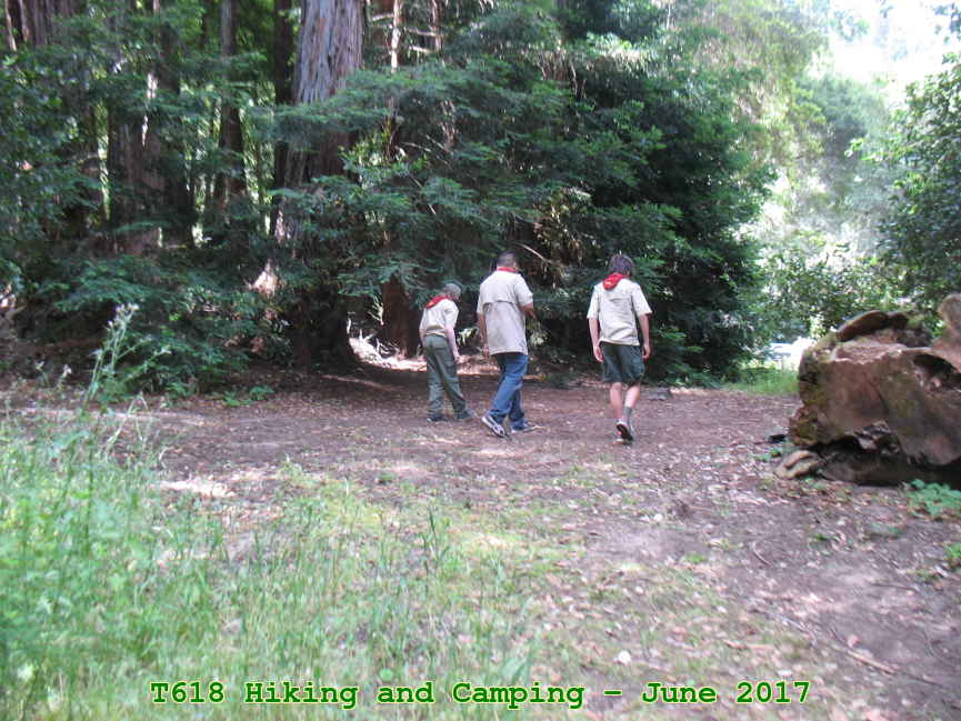 Picture 0027