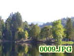 Picture 0009