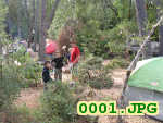 Picture 0001