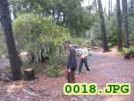 Picture 0018