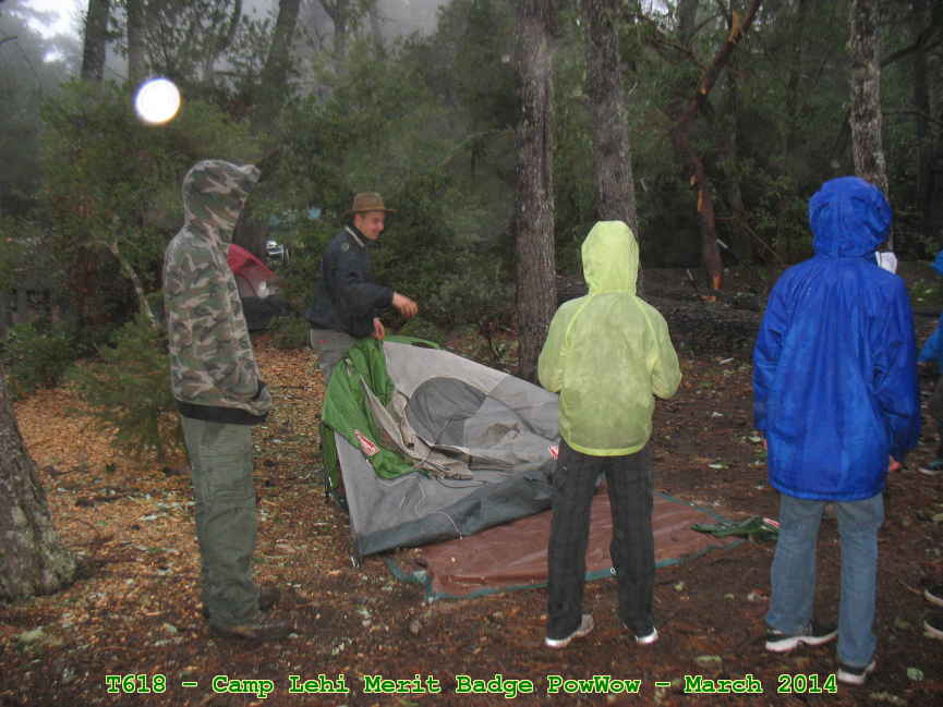 Picture 0010