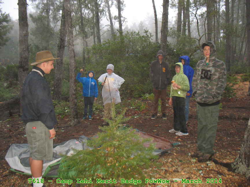 Picture 0011