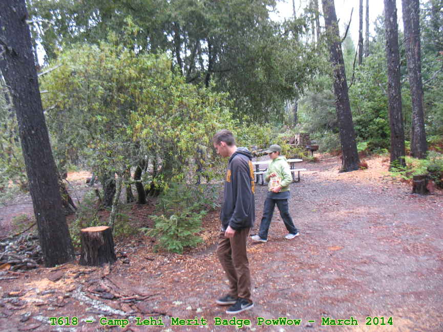 Picture 0018