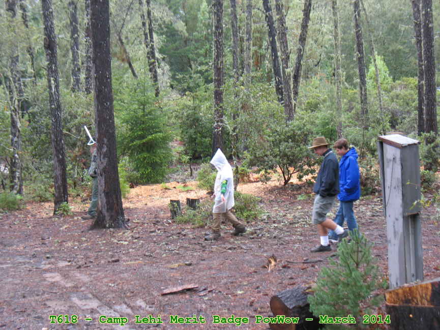 Picture 0019