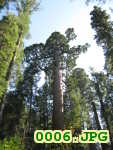 Picture 0006