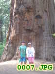 Picture 0007
