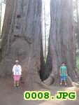 Picture 0008