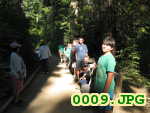 Picture 0009