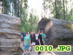 Picture 0010