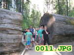 Picture 0011