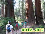 Picture 0012