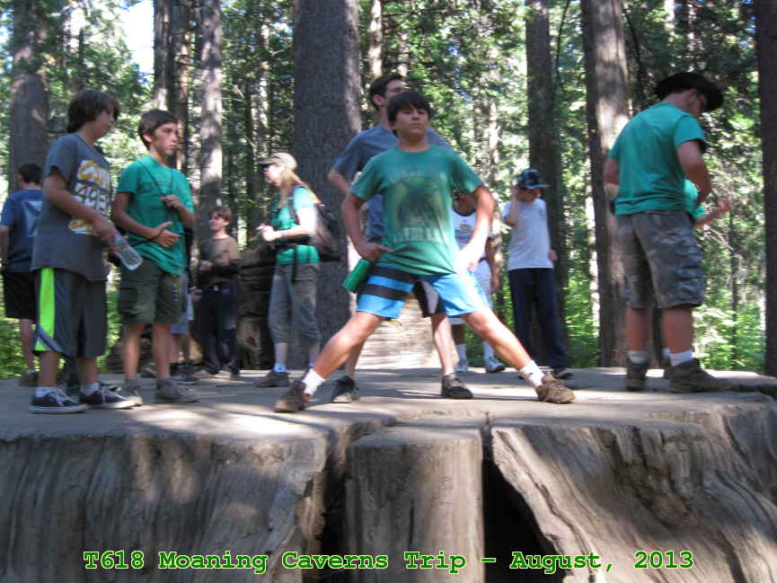 Picture 0005