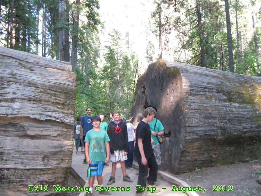 Picture 0010