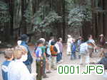 Picture 0001