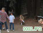 Picture 0002
