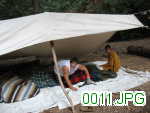 Picture 0011