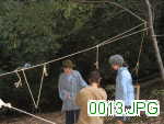 Picture 0013