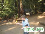 Picture 0026