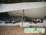 Picture 0029