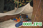 Picture 0001