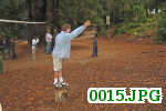 Picture 0015